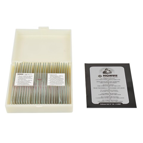 Набір мікропрепаратів KONUS Людське тіло: Структура органів (25 шт.)