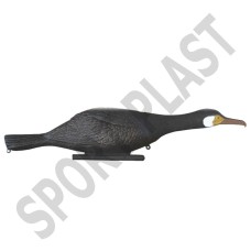 Гагара/баклан годується