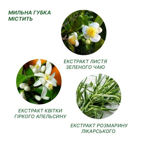 Одноразовий душ Estem Comfort (Пінна губка + рушник)