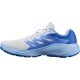 Кроссовки Salomon ALPHAGLIDE 4 Women Ancientwater/Brunnerablue