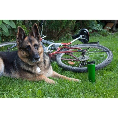 Термокухоль Aladdin Insulated 0.47 л зелена