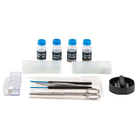 Мікроскоп SIGETA UNITY PRO 40x-640x LED Mono