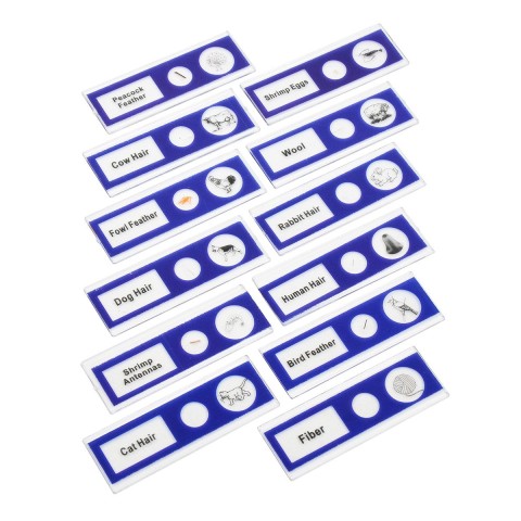 Набір мікропрепаратів SIGETA ENTRANCE Покривні тканини тварин (12 шт.)