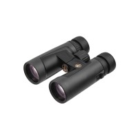 Бинокль LEUPOLD BX-2 Alpine 10x42mm Roof Shadow Gray