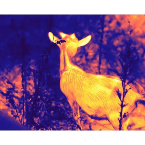 Монокуляр тепловізійний Guide TD431 2.6-10.4x35 384x288@12μm. 1800 м