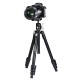 Штатив Vanguard Vesta TB 235CB (Vesta TB 235CB)