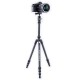Штатив Vanguard Vesta FB 204AB (Vesta FB 204AB)