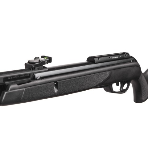 Гвинтівка пневматическа Gamo Black Bear IGT