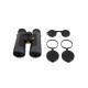 Бинокль LEUPOLD BX-2 Alpine 10x52mm Roof тёмно-серый