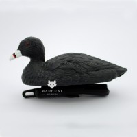 Опудало лиски/ лиски