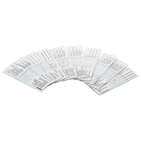 Набір мікропрепаратів KONUS Біологія: Дивовижне життя у краплі води (10 шт.)