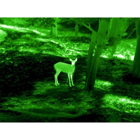 Тепловізійний приціл Guide TS435 2.3-9.2x35 400x300. 2400м