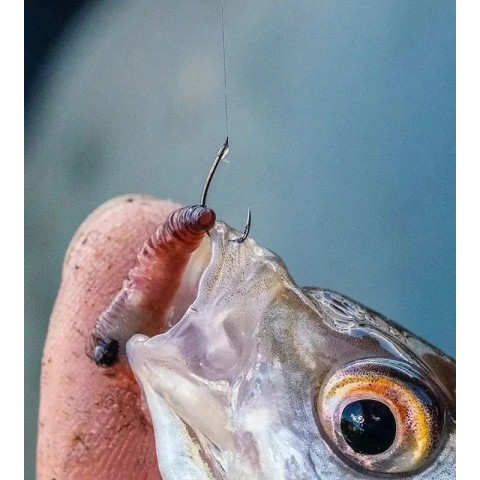 Крючок Guru Kuranku #12 (10 шт/уп)