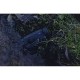Тепловізор Pulsar Axion 2 XQ35 Pro