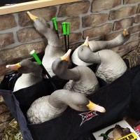 Опудала полнообъемных сірих гусей-AXP Greylag Fusion Avian-X
