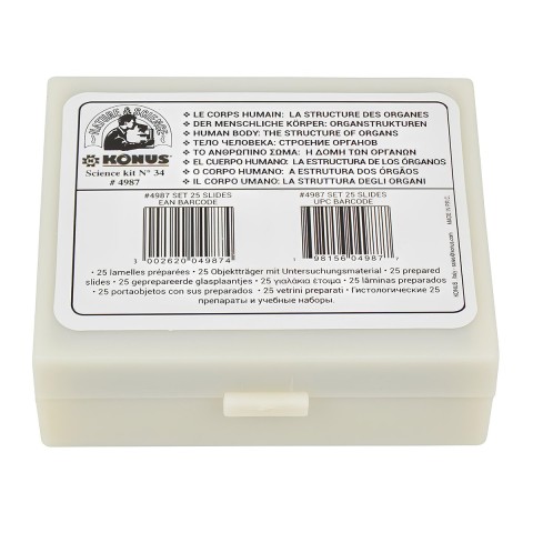 Набір мікропрепаратів KONUS Людське тіло: Структура органів (25 шт.)