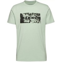Футболка Mammut Trovat T-Shirt Logo M 1017-06460 silver sage