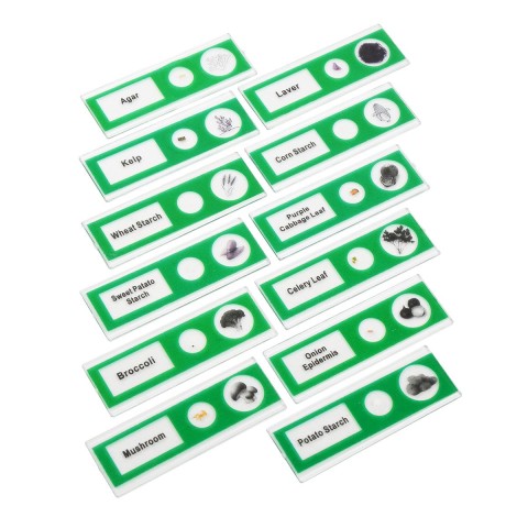 Набір мікропрепаратів SIGETA ENTRANCE Тканини рослинних організмів (12 шт.)