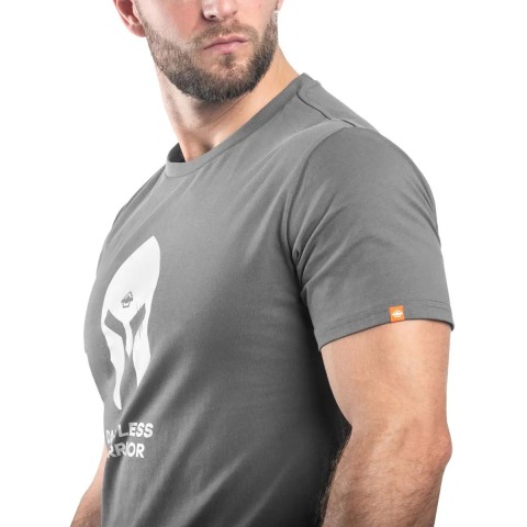 Футболка Pentagon Ageron T-Shirt Spartan Helmet L Wolf Grey