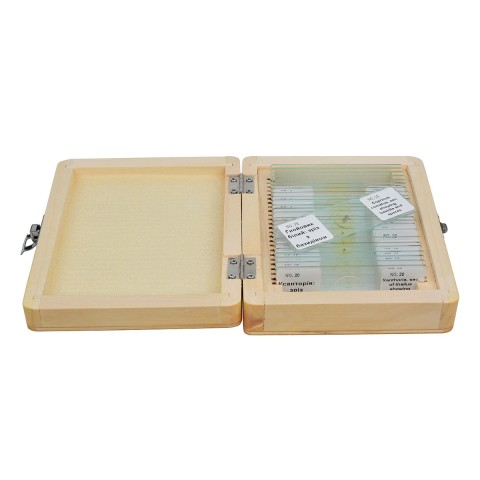 Набір мікропрепаратів SIGETA ADVANCE Гриби, лишайники (20 шт.)