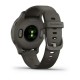 Смарт-годинник Garmin Venu 2S графітовий із грифельним безелем