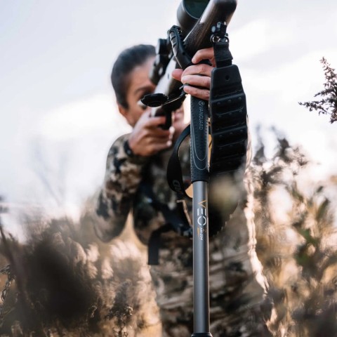Штатив Vanguard Alta Pro 2+ 263AP (Alta Pro 2+ 263AP)