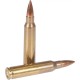 Патрон STS .223 Rem FMJ BT 62 gr (4.01 г) 50 шт