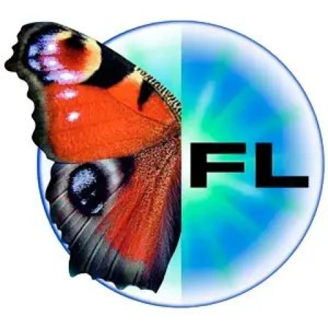 Прицел Zeiss Conquest V6 1,1-6x24 ret.60