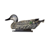 Шилохвіст самка