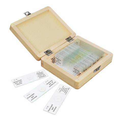 Набір мікропрепаратів SIGETA ADVANCE Гриби, лишайники (20 шт.)