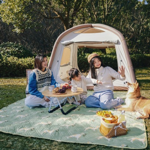 Килимок для пікніка Naturehike CNK2350WS010 210*240 см, блакитний із принтом