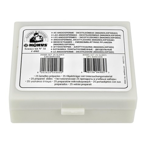 Набір мікропрепаратів KONUS Ботаніка: Дводольні покритонасінні рослини (25 шт.)
