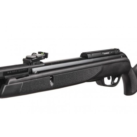 Gamo Black Bear