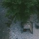 Намет двомісний з великим тамбуром та навісом Naturehike Shandi CNK2300ZP017, сірий