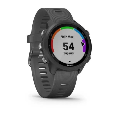 Смарт-годинник Garmin Forerunner 245 з сірийм ремінцем
