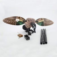 Чирок електричний самець. Махокрыл