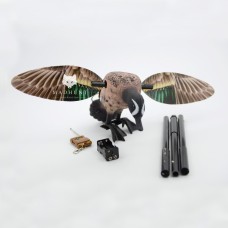 Чирок електричний самець. Махокрыл