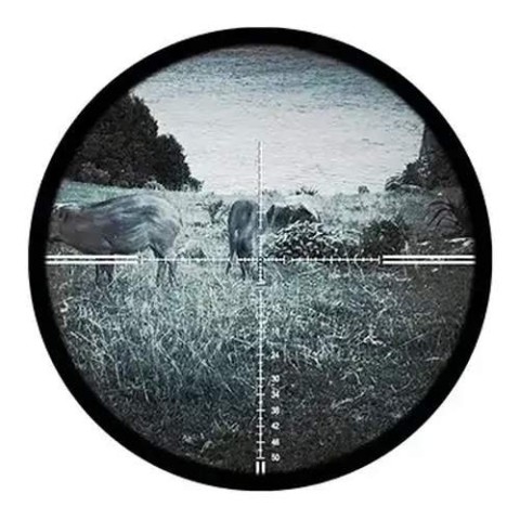 Цифрова насадка Discovery NV001 (230110)