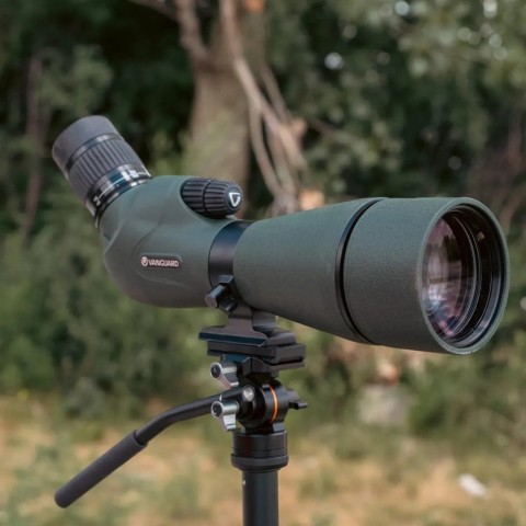 Штатив Vanguard Vesta Go 264CV12 (Vesta Go 264CV12)