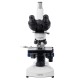 Мікроскоп SIGETA MB-307 40x-1000x LED Trino
