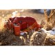Термокухоль Wacaco Octaroma Lungo 300 мл, червоний