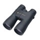 54205 Бинокль Leupold 10x50 