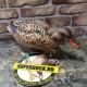 Опудала крижні качок Greenhead серія Pro-Grade XD Early Season компл.3 шт.