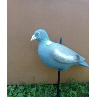 Припутень Полнокорпус середній