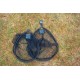 Голова подсака Preston Carbon Match Landing Net 18”/45cm