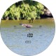 Discovery Optics Camo Rangerfinder D2000