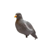 Підсадний голуб Birdland
