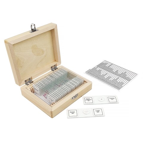 Набір мікропрепаратів SIGETA Анатомія (25 шт.)