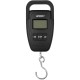 Ваги Brain Fishing Scales 50kg*10g