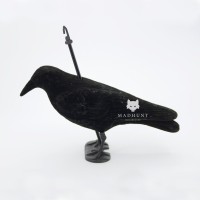 Опудало ворона. Ворон.